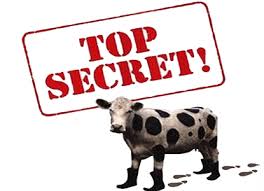 Top Secret