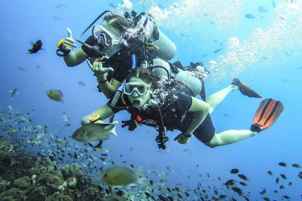 Scuba Diving in Koh Tao