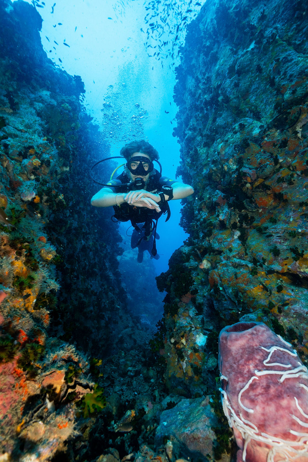 Diving on Koh Tao