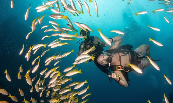 Diving in Koh Tao