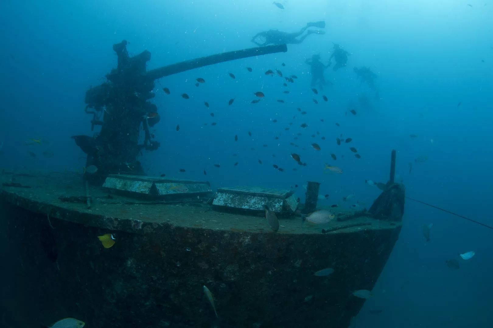 Sattakut Wreck Koh Tao
