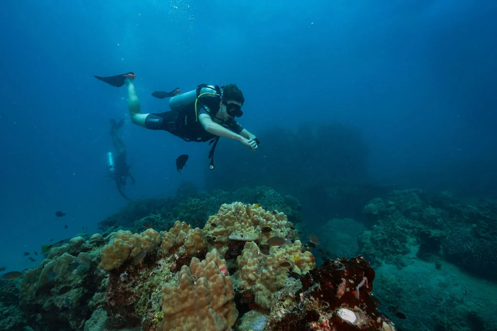 Certified diver exploring a coral reef